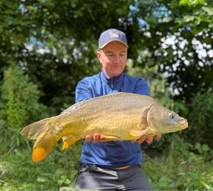 Mirror Carp