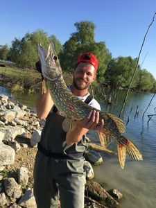 Northern Pike