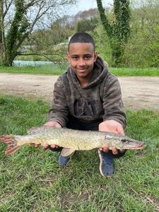 Northern Pike