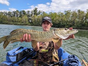 Northern Pike