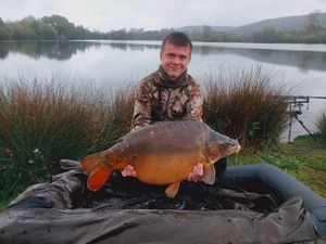 Common Carp
