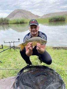 Mirror Carp