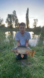 Common Carp