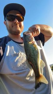Smallmouth Bass