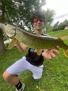 Northern Pike