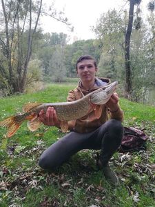 Northern Pike