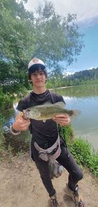 Largemouth Bass