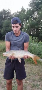 Mirror Carp