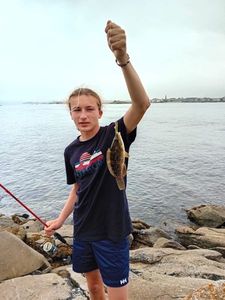 Ballan Wrasse