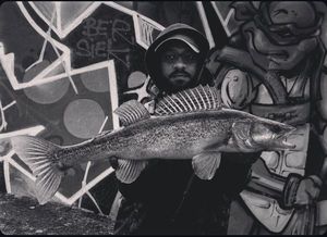 Zander