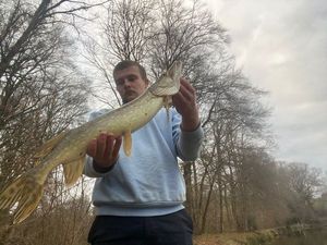 Northern Pike