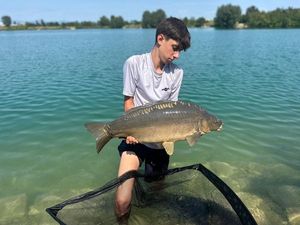 Mirror Carp