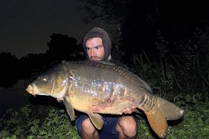 Mirror Carp