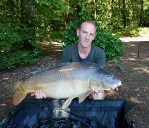 Mirror Carp
