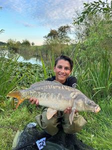 Mirror Carp