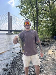 Smallmouth Bass