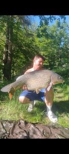 Common Carp