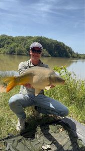 Mirror Carp