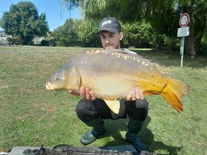 Mirror Carp
