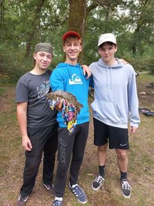 Common Carp