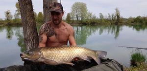 Grass Carp