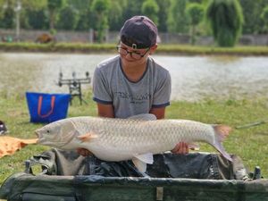Grass Carp
