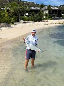 Tarpon