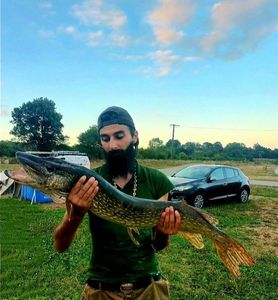 Northern Pike