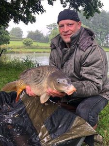 Common Carp