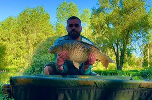 Common Carp
