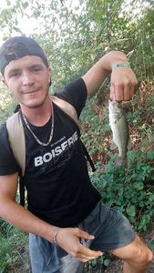 Largemouth Bass