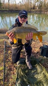 Mirror Carp