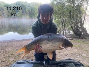 Leather Carp
