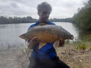 Mirror Carp