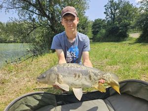 Mirror Carp