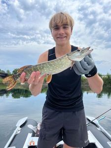 Northern Pike
