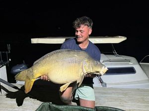 Mirror Carp