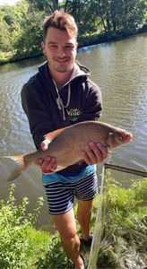 Common Bream