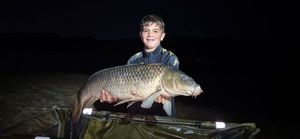Common Carp