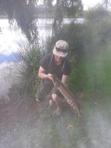 Northern Pike