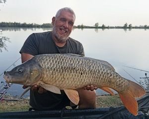 Common Carp