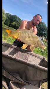 Common Carp