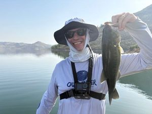 Largemouth Bass