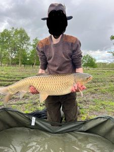 Grass Carp