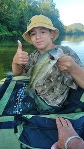 Largemouth Bass