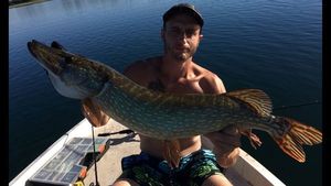Northern Pike