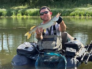 Northern Pike