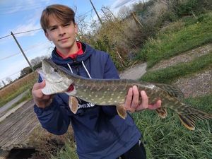 Northern Pike