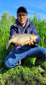 Crucian Carp