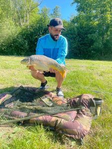 Mirror Carp